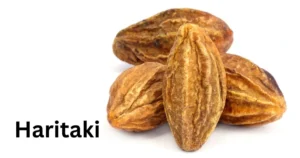 10 Amazing Haritaki Powder Benefits For Mind And Body 2 Haritaki dried fruit