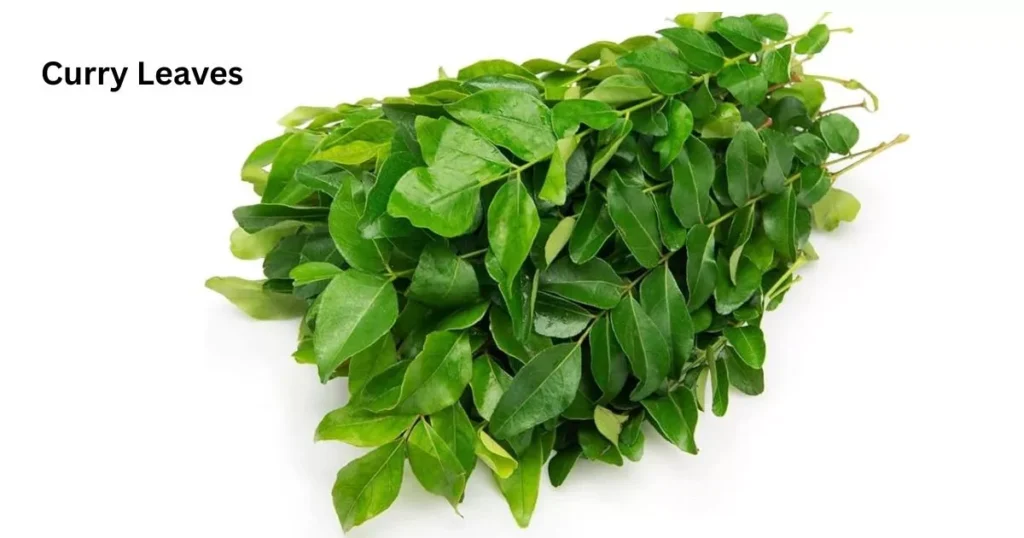 CURRY LEAVES