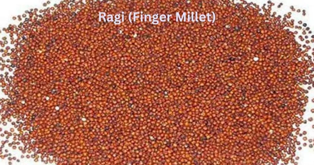 Ragi (Finger Millet)