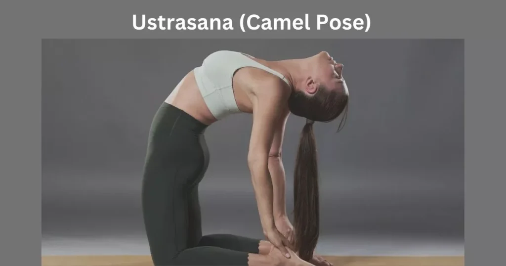 Best Yoga Asanas for Belly Fat Loss: 9 Poses to Tighten Your Core Naturally 7 yoga asanas for belly fat loss