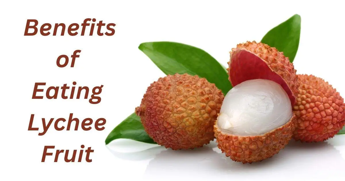 9 Surprising Health Benefits Of Eating Lychee Fruit 2501