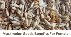 Unlocking 5 Powerful Muskmelon Seeds Benefits For Female Muskmelon Seeds Benefits For Female