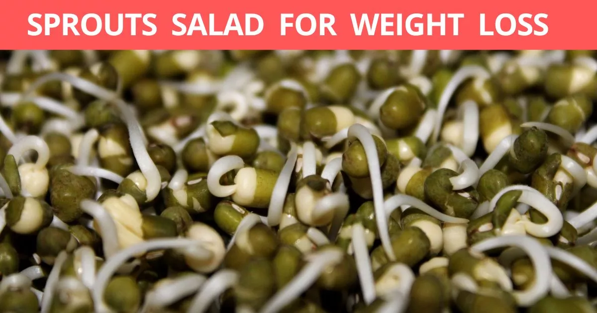 Sprouts salad for weight loss